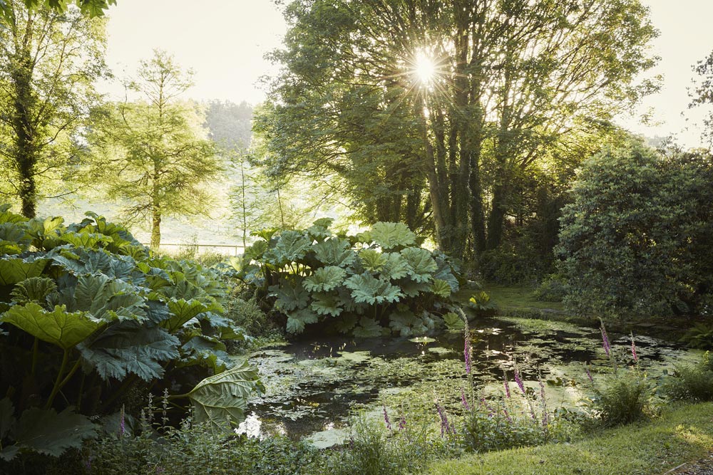 New York Nature Photography