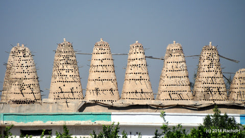 Columbidae Pigeon House in Egypt