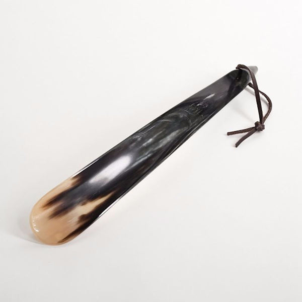 horn shoe horn