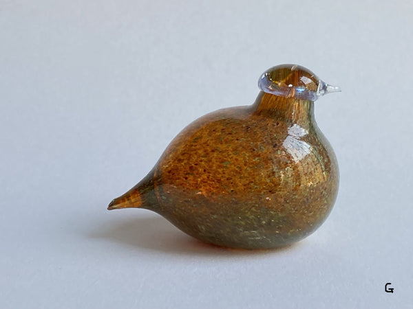 Golden-Crested Kinglet オレンジ バード イッタラ 21 Iittala www