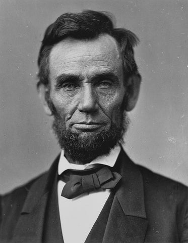 Abe Lincoln Beard title image