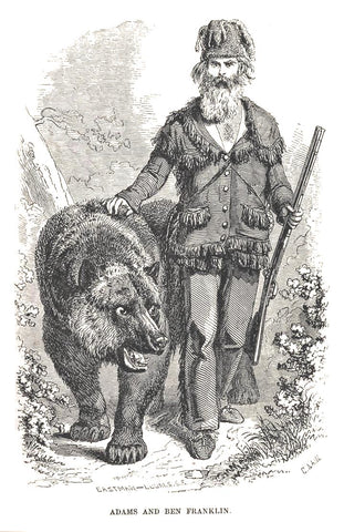 Artwork of Grizzly Adams with his beard