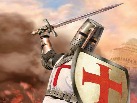 Templar Knight in battle
