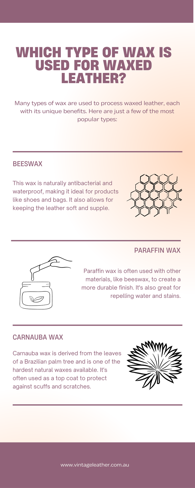 Which type of wax is used for Waxed leather?