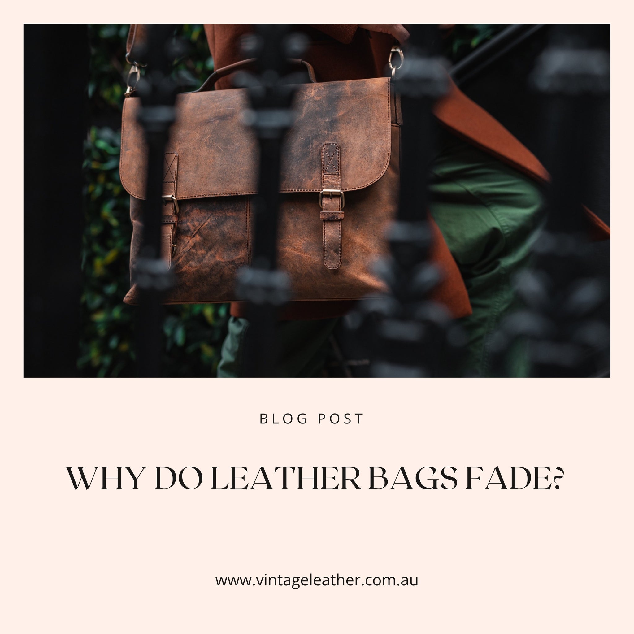 Cleaning Leather Bags: How I clean & care for my bags & preloved bags - My  Women Stuff