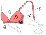 bra parts