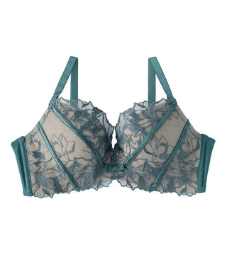 Buy Victoria's Secret Black Ivy Green Lace Lightly Lined Demi Bra from Next  Malta