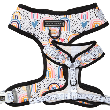 Adjustable-Dog-Harness-Chasing-Rainbows.png__PID:a327d27f-53af-4ab2-98a9-3896571b3358