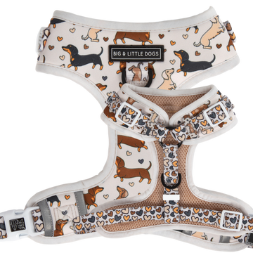 Adjustable-Dog-Harness-Dashie-Lovers (1).png__PID:d27f53af-7ab2-48a9-b896-571b3358fb06