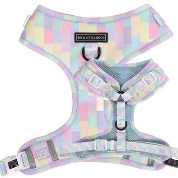 Adjustable-Dog-Harness-Gelato.png__PID:53af7ab2-98a9-4896-971b-3358fb06756d