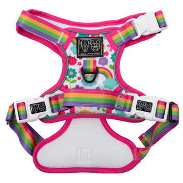 All-Rounder-Dog-Harness-Follow-The-Rainbow-Front (2).png__PID:4afde045-4564-4f22-b8aa-1b0853bed4ed