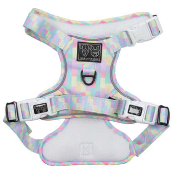 All-Rounder-Dog-Harness-Gelato-Front.png__PID:fde04545-649f-42f8-aa1b-0853bed4ed70