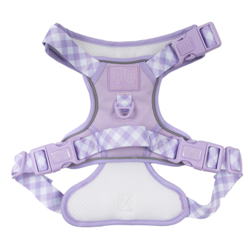 All-Rounder-Dog-Harness-Purple