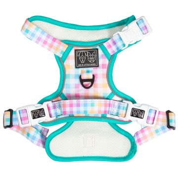 All-Rounder-Dog-Harness-Rainbow-Gingham-Front (1).png__PID:53bed4ed-7037-4f5c-ae69-6d87c0195ad1