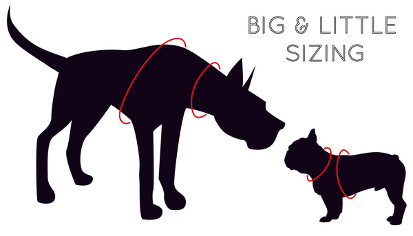 Dog Sizing Chart