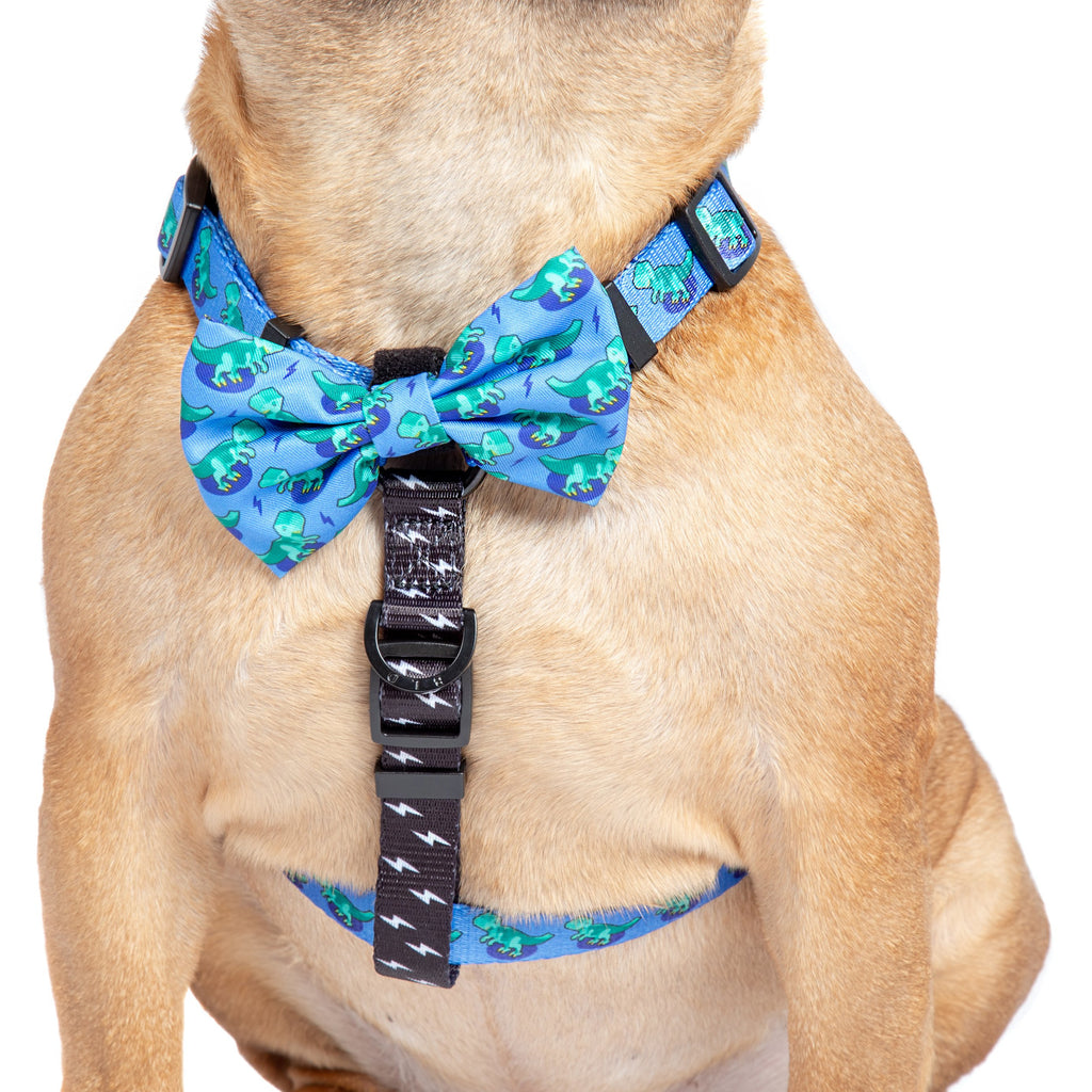 dog strap harness