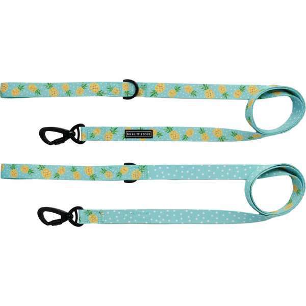 BIG & LITTLE DOGS: Dog Harnesses, Dog Collars and Dog Leashes
