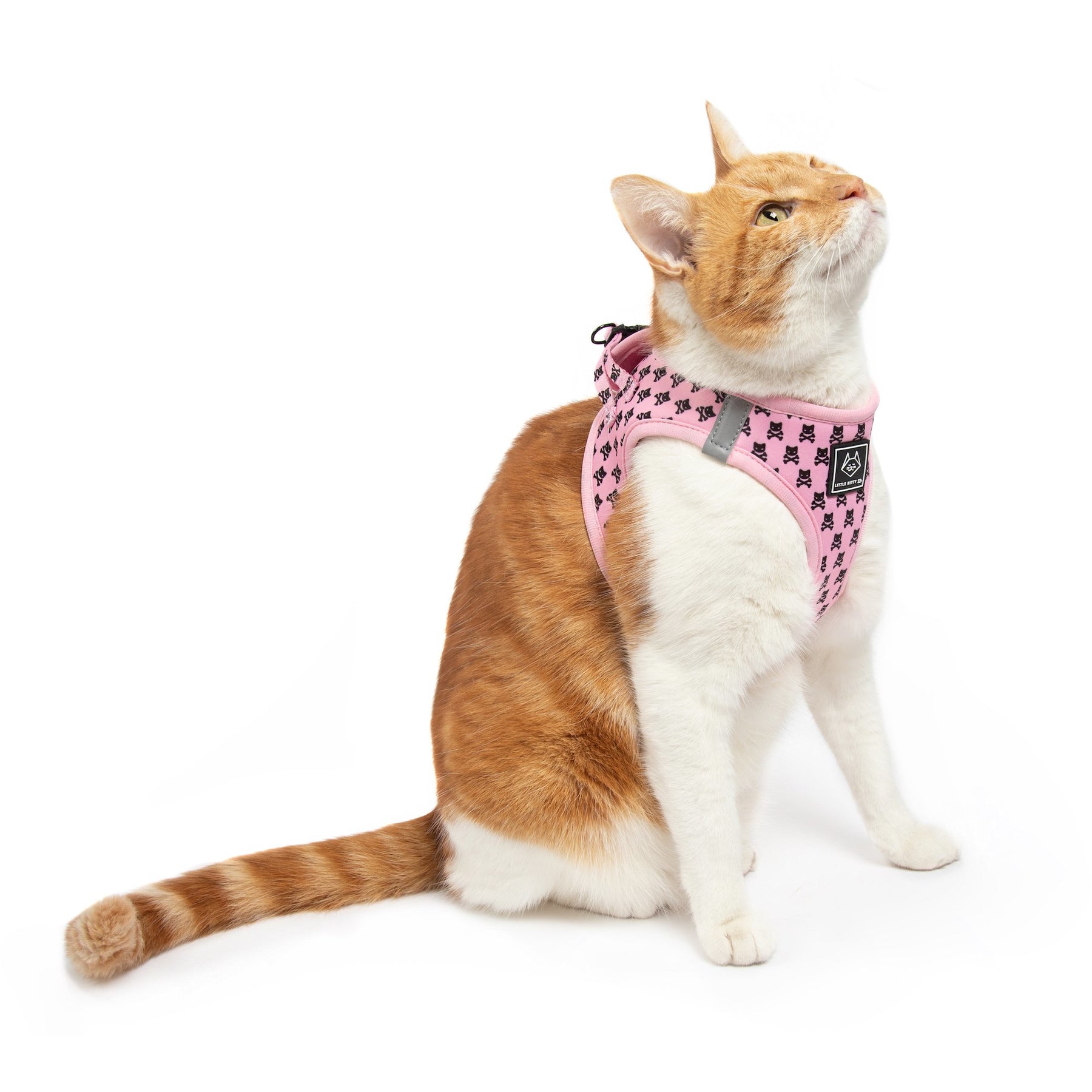 STEP IN CAT HARNESS For Cats & Kittens | LITTLE KITTY CO – Big & Little ...