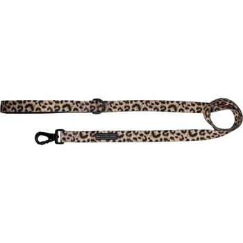 DOG LEASH and LEADS for Big & Small Dogs | BIG & LITTLE DOGS
