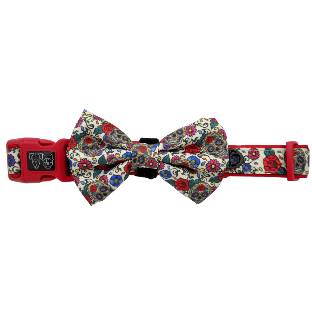 dog bow tie collars for sale