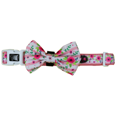 Dog Collar and Bow Tie with Neoprene Lining Pretty as can Bee Floral