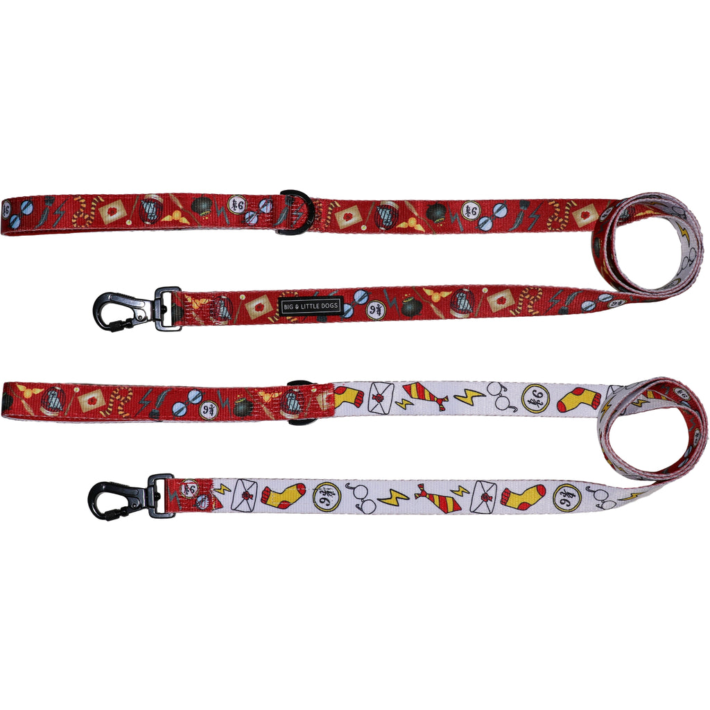 small dog leash