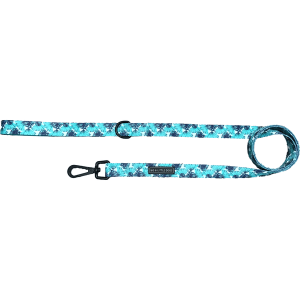 BIG & LITTLE DOGS: Dog Harnesses, Dog Collars and Dog Leashes