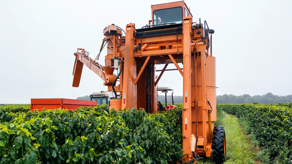 an industrial harvesting machine