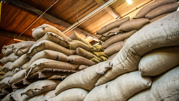 a large pile of coffee in sacks. 