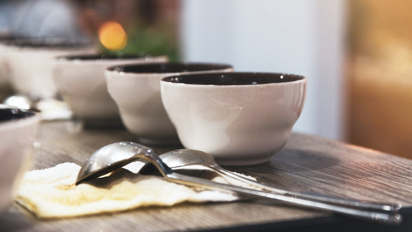 coffee in cupping bowls