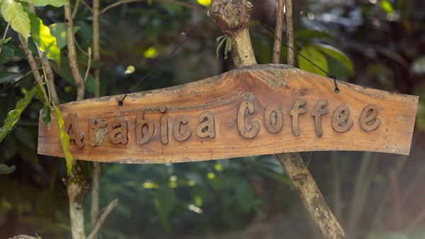 a wooden sign which reads 'arabica coffee'