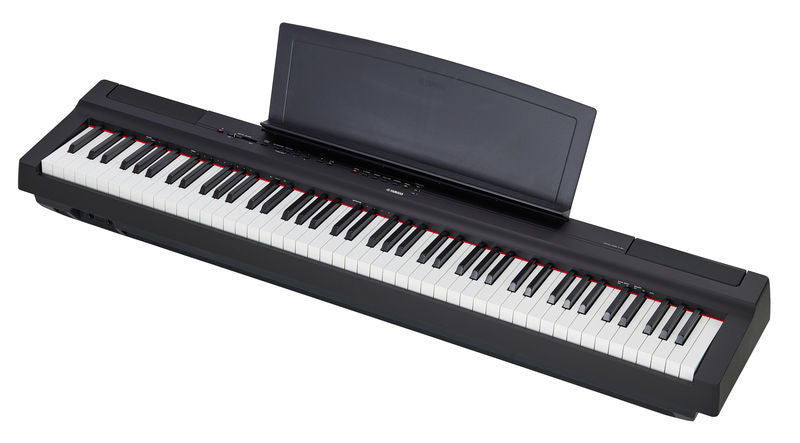 Kawai es8 vs Yamaha p 255