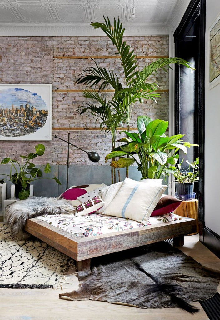 Bohemian Daybed with Indoor Plants