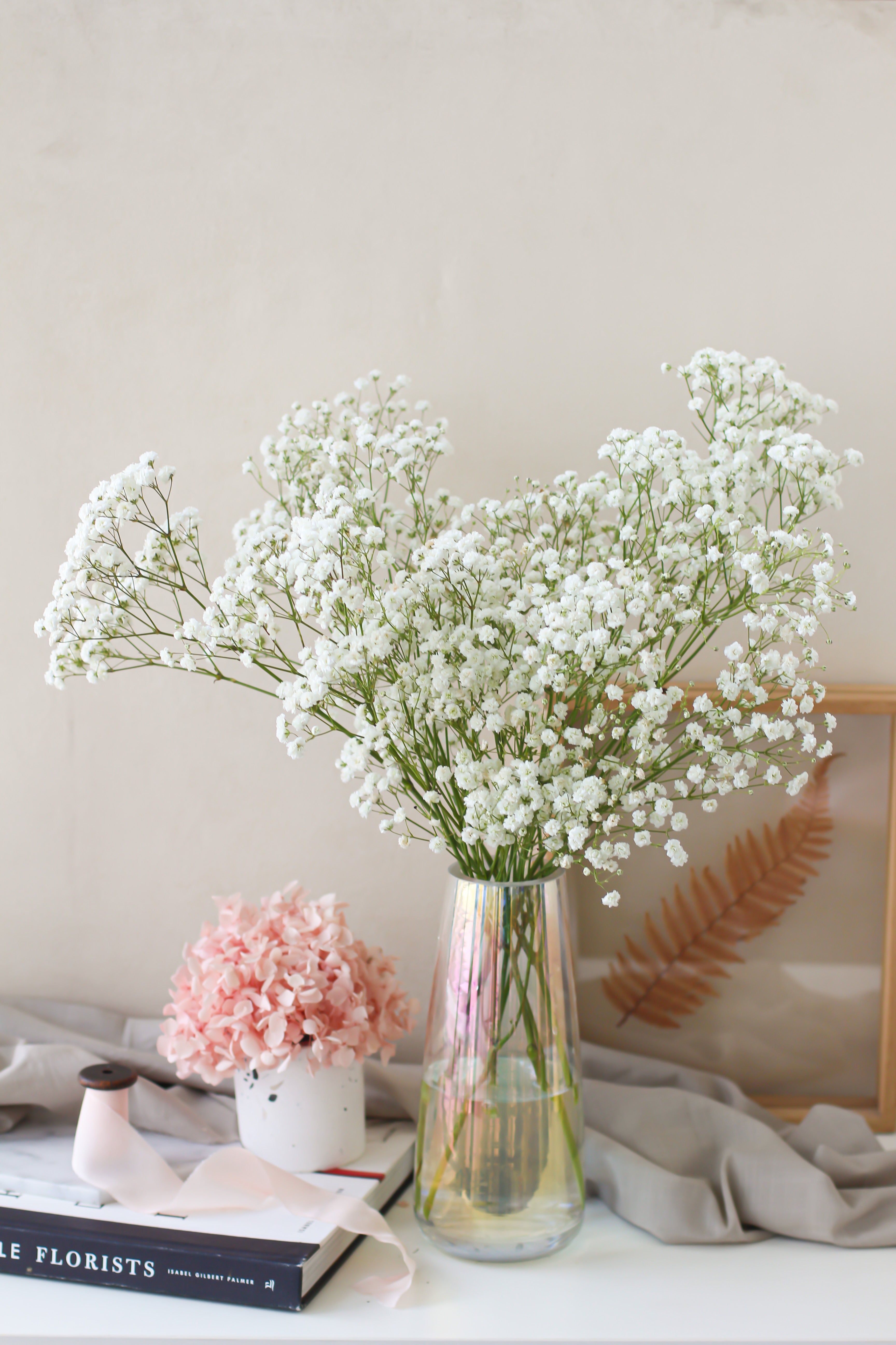 Coloured Baby's Breath, Flowers Delivered