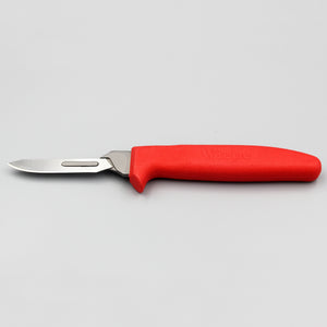 Wiebe 8 inch Fleshing Knife