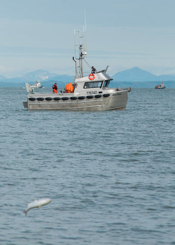The Epic Return of Salmon: Gearing Up for Salmon Fishing Season – Wild For  Salmon