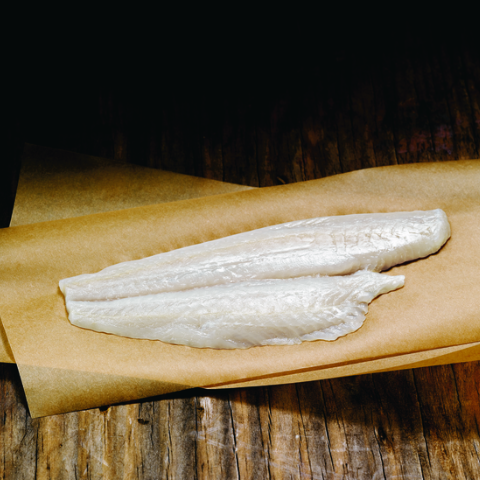 Wild for Salmon Sole