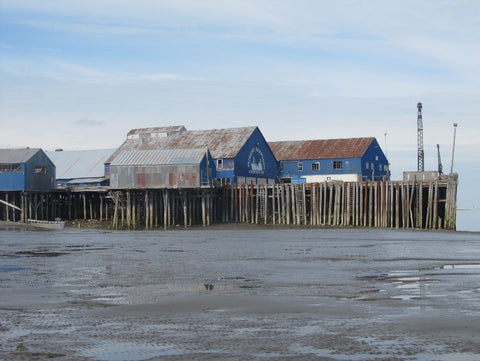 Sockeye salmon cannery plant