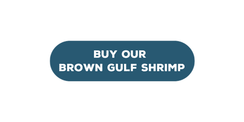 button tot buy brown gulf shrimp