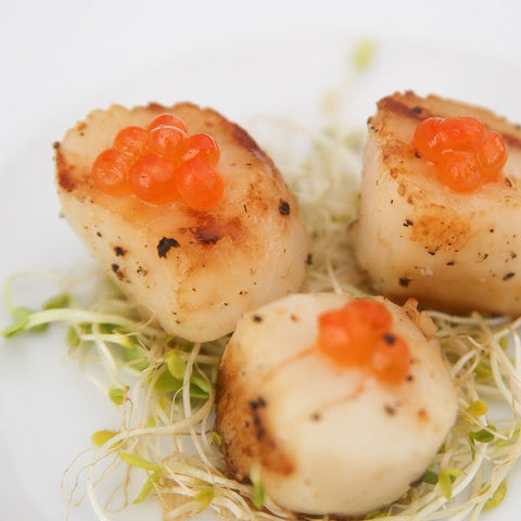 Scallops recipe wild for salmon