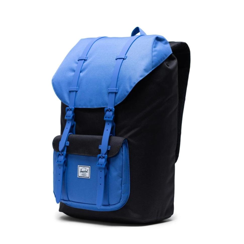 herschel little america black