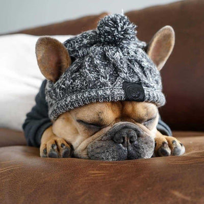 Warm Winter Pet Hat
