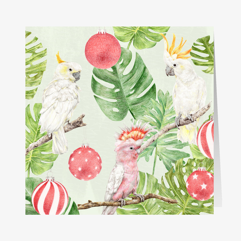 Download Set Of 6 Native Animals Christmas Cards Carmen Hui Art Illustration PSD Mockup Templates