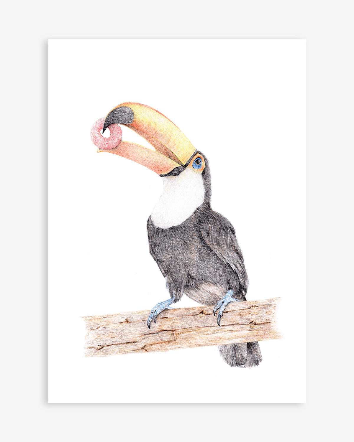 Vector Hand Drawn Doodle Sketch Tropical Toucan Bird Isolated On White  Background Royalty Free SVG, Cliparts, Vectors, and Stock Illustration.  Image 129387279.