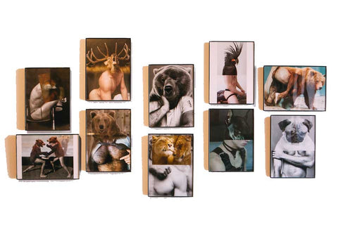 naro pinosa animal human framed collages