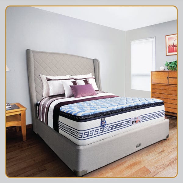 A Budget-Friendly Luxurious Mattress  Springfit ProActiv Collection