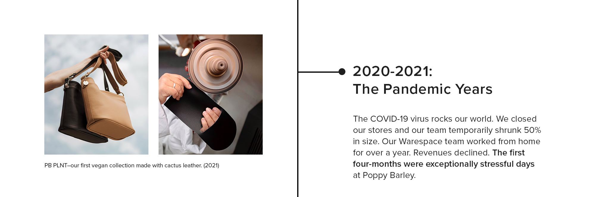 2020-2021: The Pandemic Years PB PLNT-our first vegan collection made with cactus leather. (2021) The COVID-19 virus rocks our world. We closed our stores and our team temporarily shrunk 50% in size. Our Warespace team worked from home for over a year. Revenues declined. The first four-months were exceptionally stressful days at Poppy Barley.