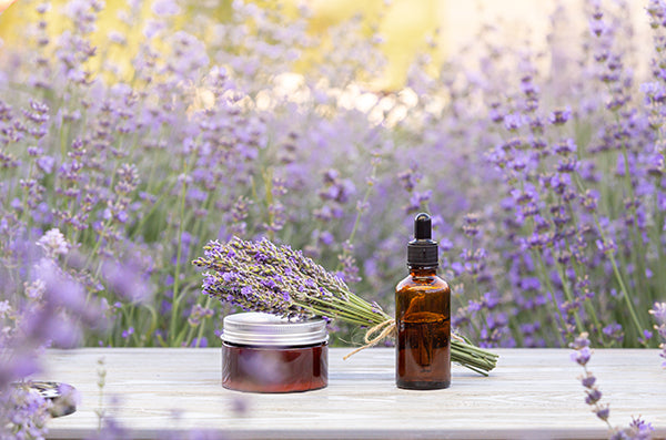 Lavender oil with wild lavender in background.