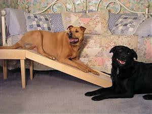 dog ramp for big dogs