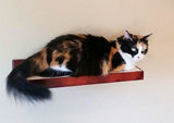 Cat Climbing Shelves - Bundle - C&D Pet Products